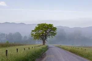 Prints of Hyatt Lane in fog Cades Cove Great Smoky Mountains National Park, Tennessee Images Dated 2020 May: Hyatt Lane in fog Cades Cove Great Smoky Mountains National Park, Tennessee