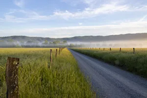 Images Dated 29th May 2020: Hyatt Lane in fog Cades Cove Great Smoky Mountains National Park, Tennessee