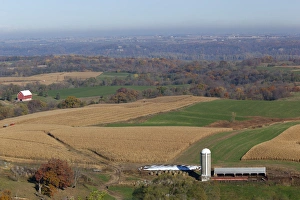 Bale Prints: IA, Dubuque County, Barn, cornfields, and hay bales