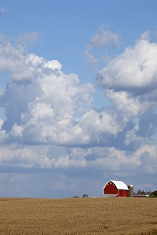 Dubuque County Prints: IA, Dubuque County, Red barn and cornfields