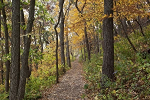 Images Dated 10th October 2011: IA, Effigy Mounds National Monument, trail to Great Bear and Little Bear Mound groups
