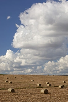 Jackson County Prints: IA, Jackson County, Baled corn stalks