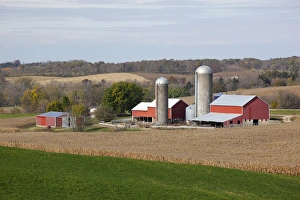 Jackson County Prints: IA, Jackson County, Barns and cornfield