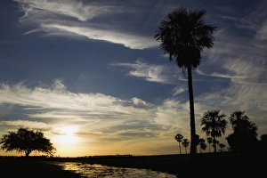 Wetlands Prints: Ibera Marshes; Sunset