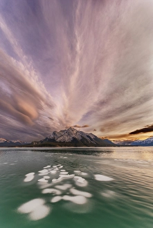 Ice Bubble Prints: Ice Bubbles at Sunset, Abraham Lake, Canada