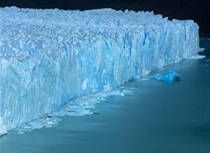 Ice face of the Porito Moreno Glacier in Las Glacieras National Park