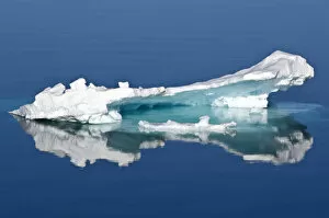 Ice floe Greenland Sea East Coast of Greenland
