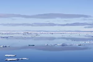 Ice floes Greenland Sea East Coast of Greenland