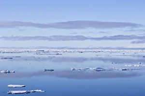 Peace Prints: Ice floes Greenland Sea East Coast of Greenland