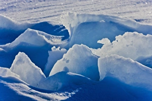 Magdalen Islands Prints: Ice pattern, Iles de la Madeleine, Quebec, Canada