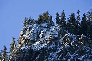 Edge Prints: Ice and snow covered granite & pine trees at the top edge of Yosemite valley - Yosemite