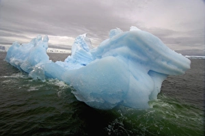 Images Dated 29th January 2007: iceberg floating off the western Antarctic peninsula, Antarctica, Southern Ocean