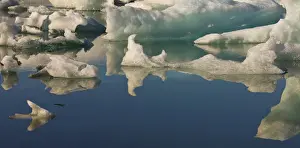 Images Dated 22nd September 2011: Iceberg formations broken off from the Breidamerkurjokull glacier, part of the Vatnajokull