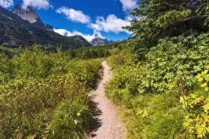 Active Prints: Iceberg Lake trail, Many Glacier, Glacier National Park, Montana