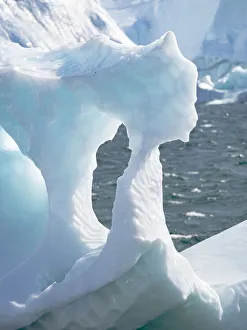 Images Dated 19th September 2019: Iceberg in the Uummannaq Fjord System. America, North America, Greenland, Denmark