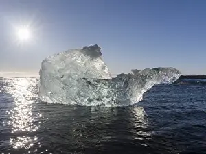 Iceland Prints: icebergs on black volcanic beach