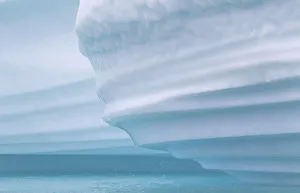 Images Dated 12th August 2016: Icebergs drifting in the fjords of southern greenland. America, North America, Greenland