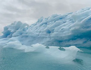 Icebergs drifting in the fjords of southern greenland. America, North America, Greenland