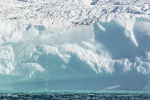 Images Dated 7th August 2016: Icebergs drifting in the fjords of southern greenland. America, North America, Greenland