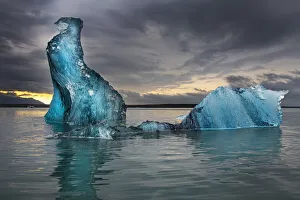 Images Dated 23rd October 2020: Icebergs float at will in Jokulsarlon lagoon, Iceland, headed for the north Atlantic
