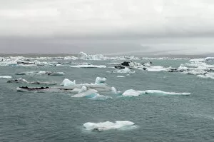 Images Dated 31st May 2007: Icebergs floating in Jokulsarlon glacial lagoon, South coast, Iceland