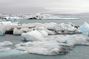 Icebergs floating in Jokulsarlon glacial lagoon, South coast, Iceland