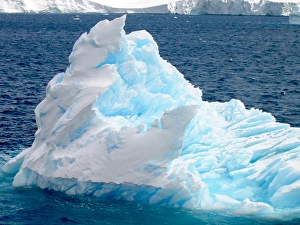 Extreme Terrain Prints: Icebergs floating in the sea, Paradise Bay, Antarctic Peninsula, Antarctica