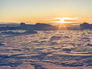 Greenland Prints: Icebergs frozen into the sea ice of the Uummannaq fjord system during winter