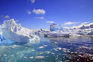 Snowcapped Prints: Icebergs and ice flows in the Artic Sea, near Paradise Harbor, Antarctica