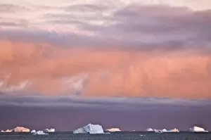 Images Dated 22nd August 2007: Icebergs at sunrise Cape York Weast Coast of Greenland