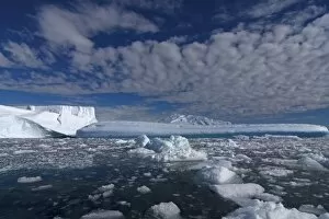 Images Dated 8th February 2007: icebergs along the western Antarctic peninsula, Antarctica, Southern Ocean