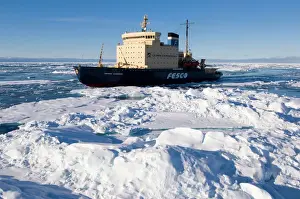 Powerful Prints: The icebreabker Kapitan Khlebnikov cruising through broken pack ice Greenland Sea
