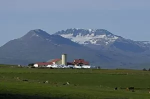 Images Dated 29th July 2004: Iceland, Akureyri, farm