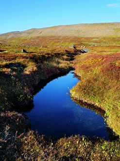 Vestfirdir Prints: Iceland, colors of fall in Middalur at Steingrimsfjardarheidi during autumn
