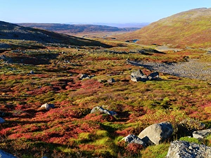 Vestfirdir Prints: Iceland, colors of fall in Middalur at Steingrimsfjardarheidi during autumn