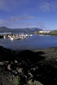 Fishing Village Prints: Iceland, Djupivogur Mouth of Berufjordur River and harbor