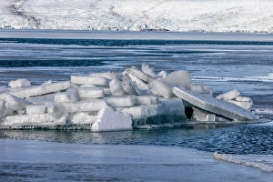 Images Dated 16th January 2024: Iceland, Fjallsarlon Glacier Lagoon