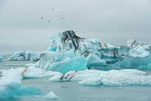 Lagoon Prints: Iceland. Fjallsarlon Glacier Lake at the south end of the glacier in Vatnajokull National Park