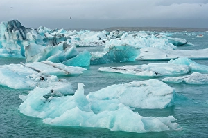 Lagoon Prints: Iceland. Fjallsarlon Glacier Lake at the south end of the glacier in Vatnajokull National Park