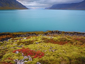 Borgarfjordur Prints: Iceland. Fjord Borgarfjordur and Arnarfjordur during autumn
