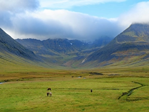Haukadalur Prints: Iceland. Haukadalur in Dyrafjordur during autumn