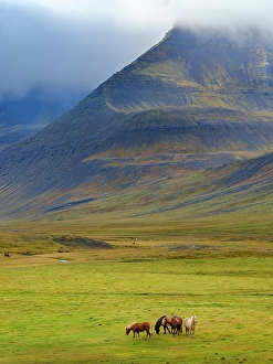 Haukadalur Prints: Iceland. Haukadalur in Dyrafjordur during autumn