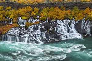 Dennis Kirkland Prints: Iceland, Hraunfossar. Autumn waterfalls flow into river