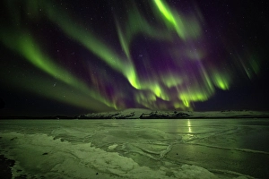 Images Dated 16th January 2024: Iceland, Jokulsarlon Glacier Lagoon, Aurora Borealis