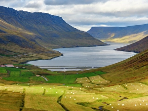 Awesome Prints: Iceland. Landscape in Botnsdalur and Sugandafjordur during autumn