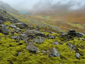 Vestfirdir Prints: Iceland. Landscape at Dynjandiheidi during autumn