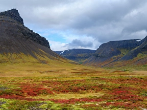 Awesome Prints: Iceland. Landscape in Dyrafjordur during autumn