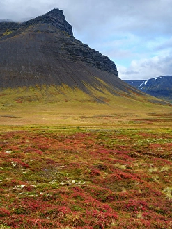 Awesome Prints: Iceland. Landscape in Dyrafjordur during autumn