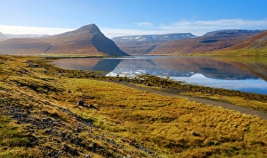 Kelp Prints: Iceland. Landscape in fjord Alftafjordur during autumn