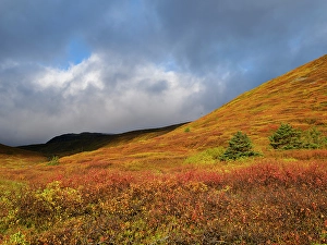 Vestfirdir Prints: Iceland. Landscape in Tungudalur during autumn